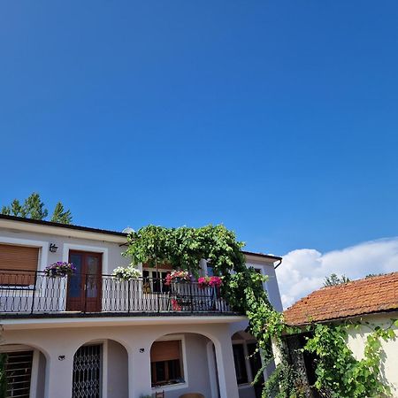 Bed and Breakfast Wine House à Capannori Extérieur photo