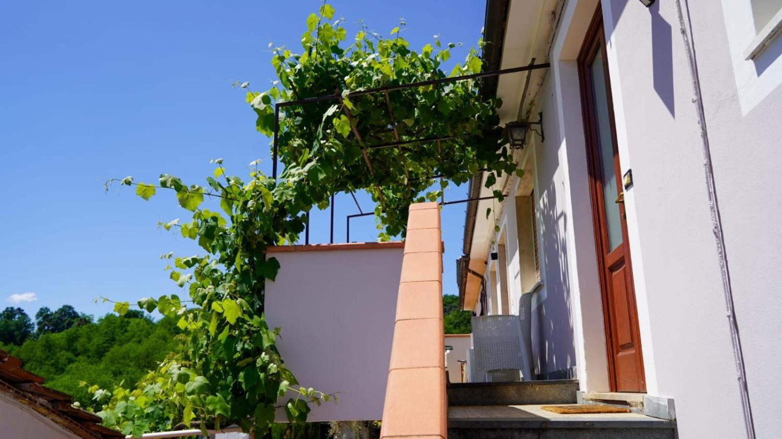 Bed and Breakfast Wine House à Capannori Extérieur photo