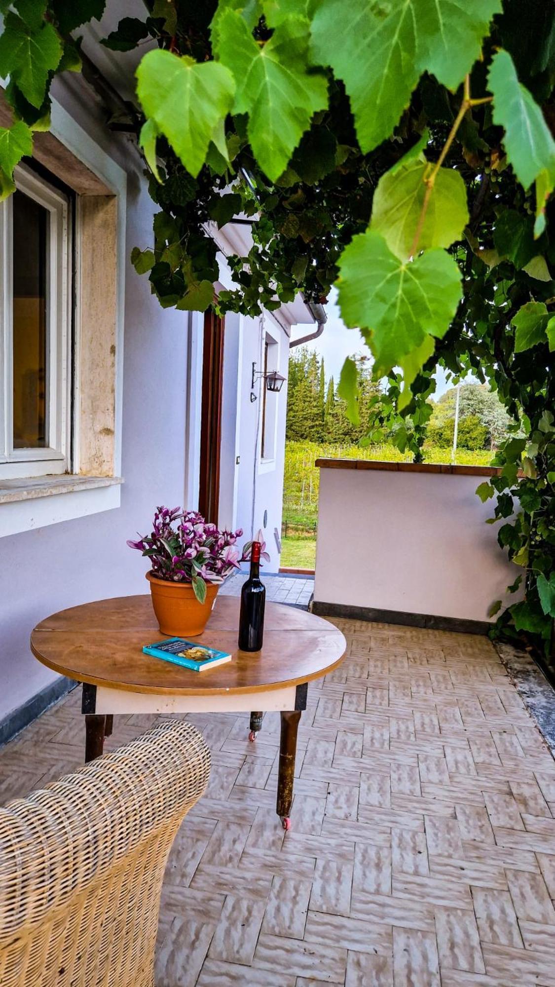 Bed and Breakfast Wine House à Capannori Extérieur photo
