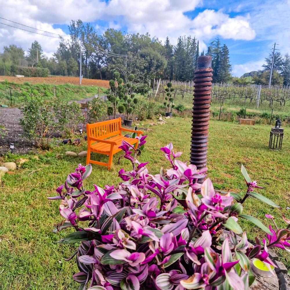 Bed and Breakfast Wine House à Capannori Extérieur photo