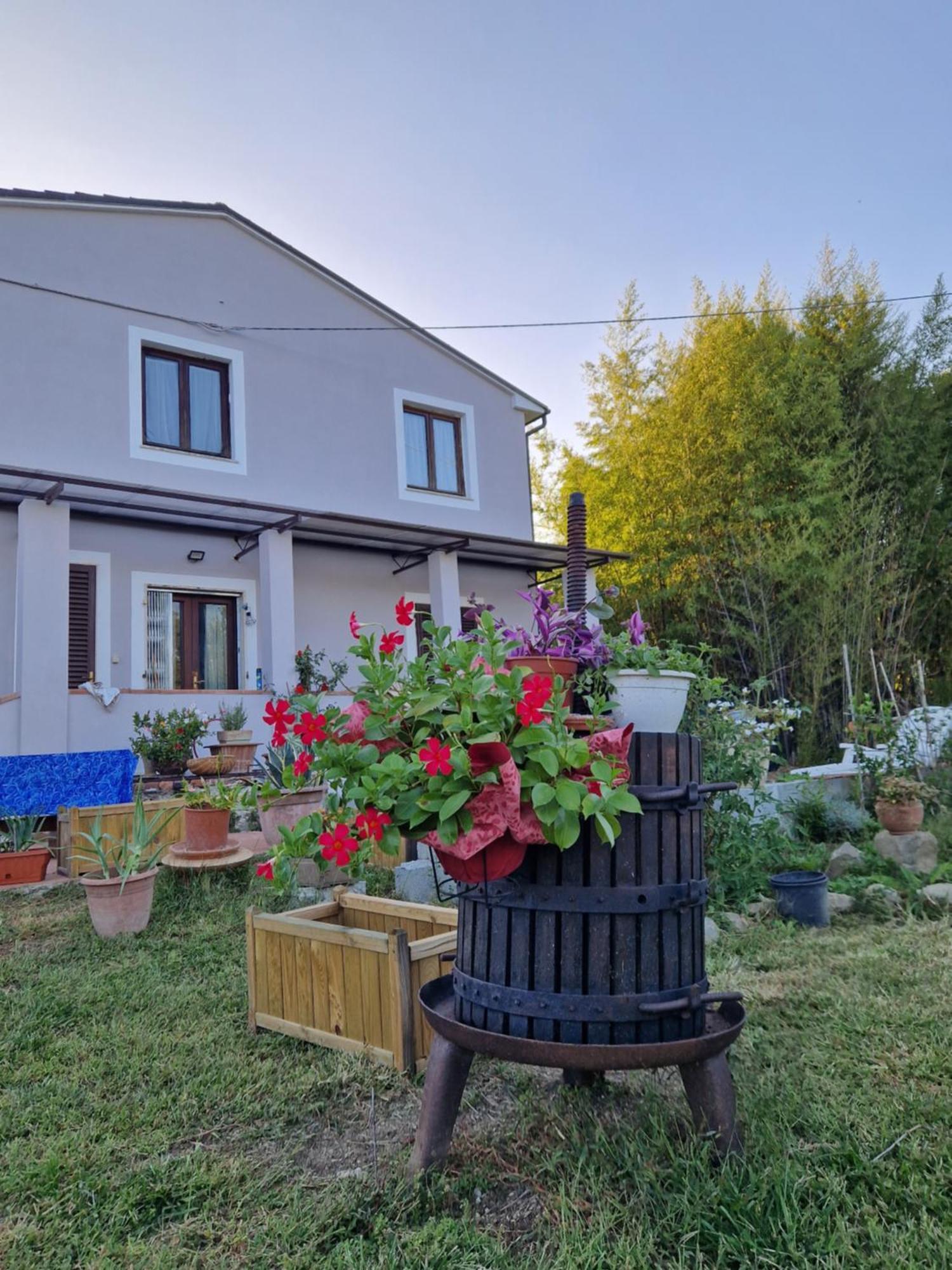 Bed and Breakfast Wine House à Capannori Extérieur photo